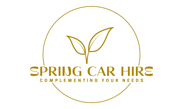 spring logo